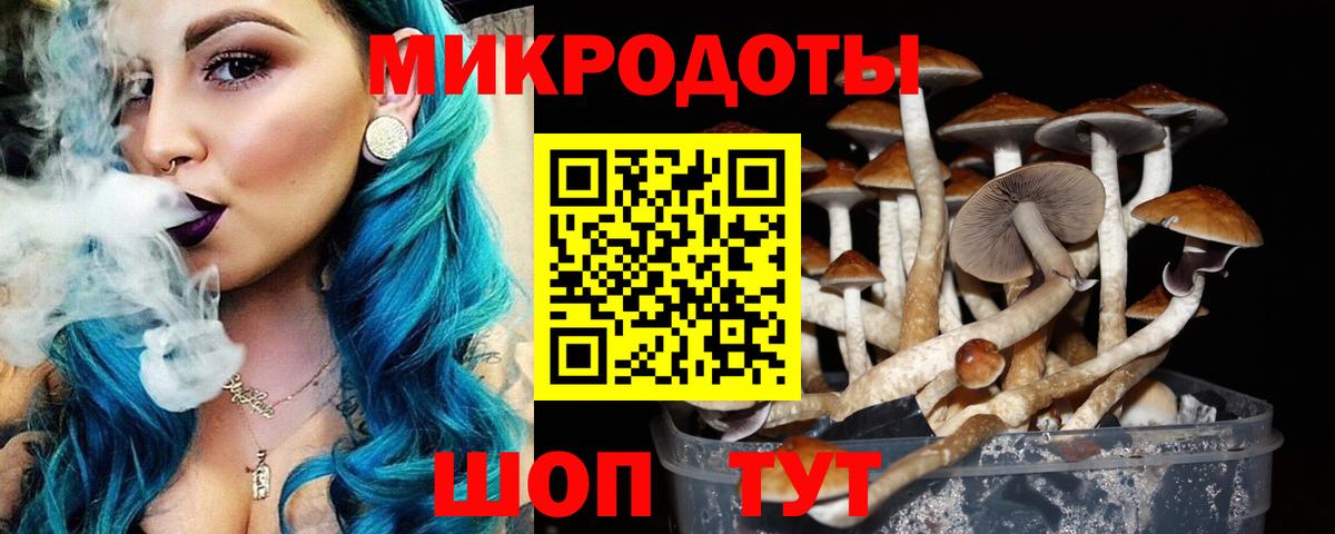 Псилоцибиновые грибы Magic Shrooms Сарапул